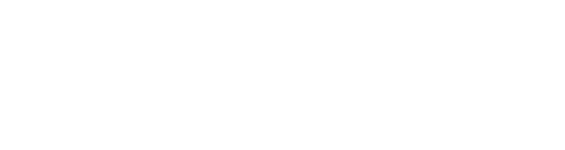 Dalchini Logo